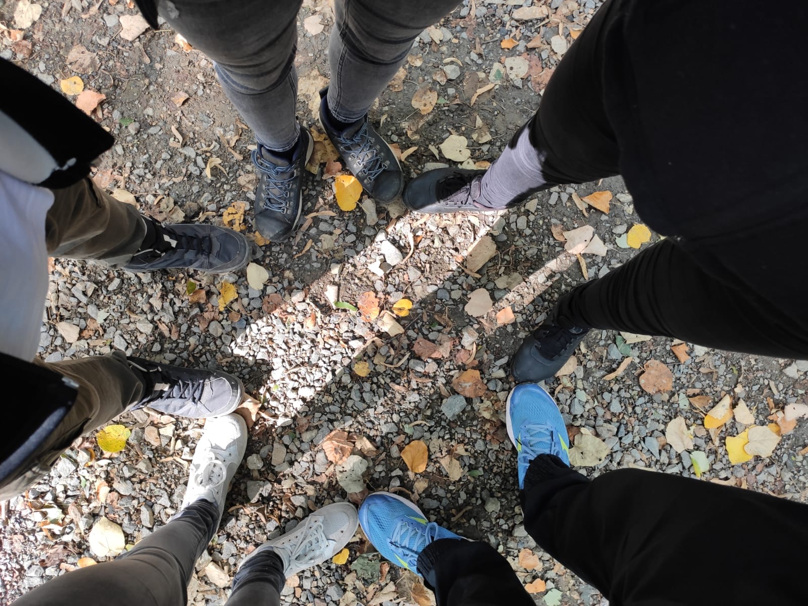 Profilna slika - Miloš Milošević